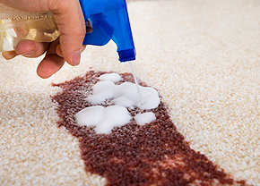 carpet stain removing philadelphia