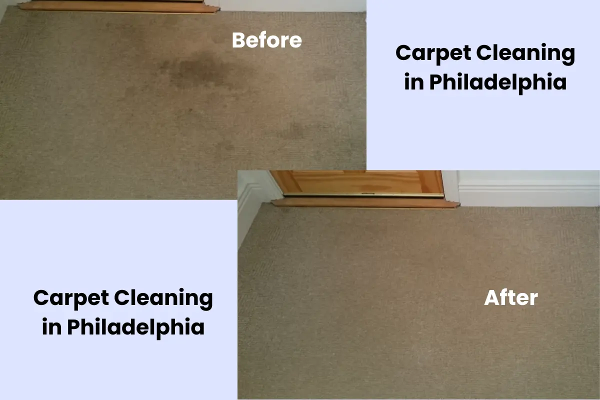 Carpet Cleaning in Philadelphia