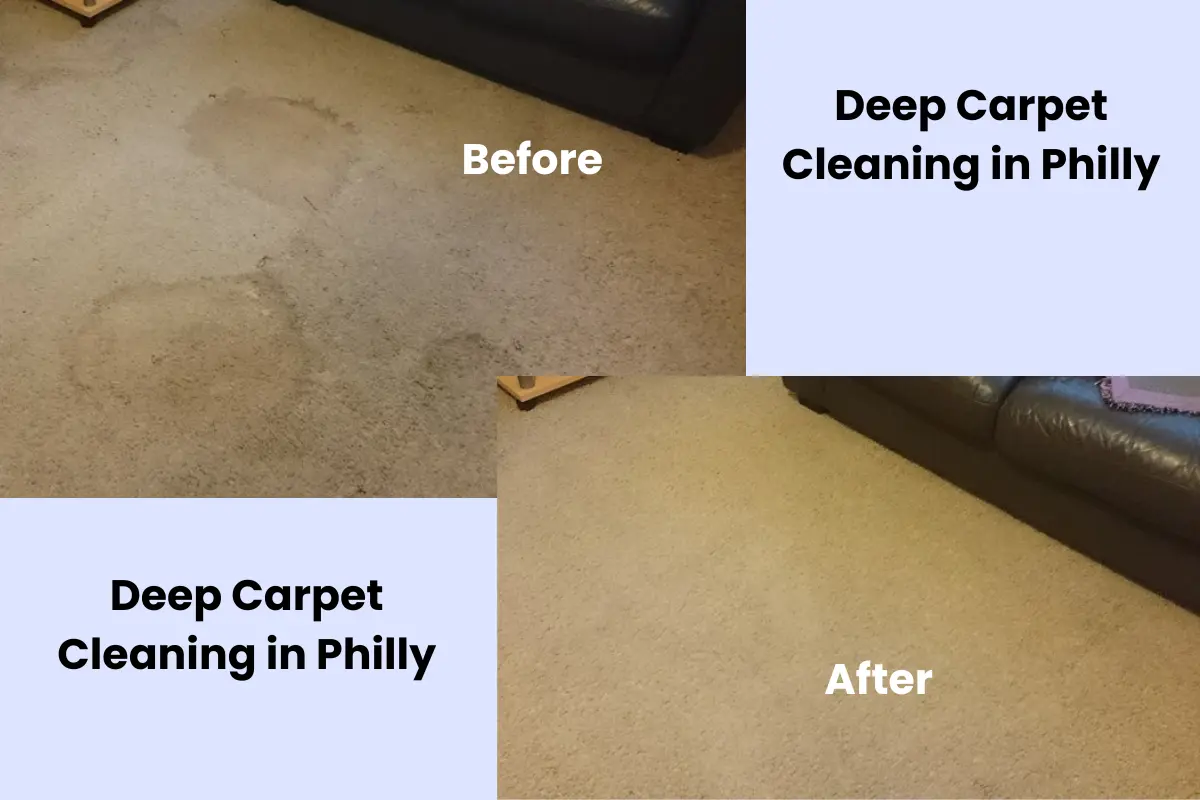 Floor Carpet Cleaning in Philly