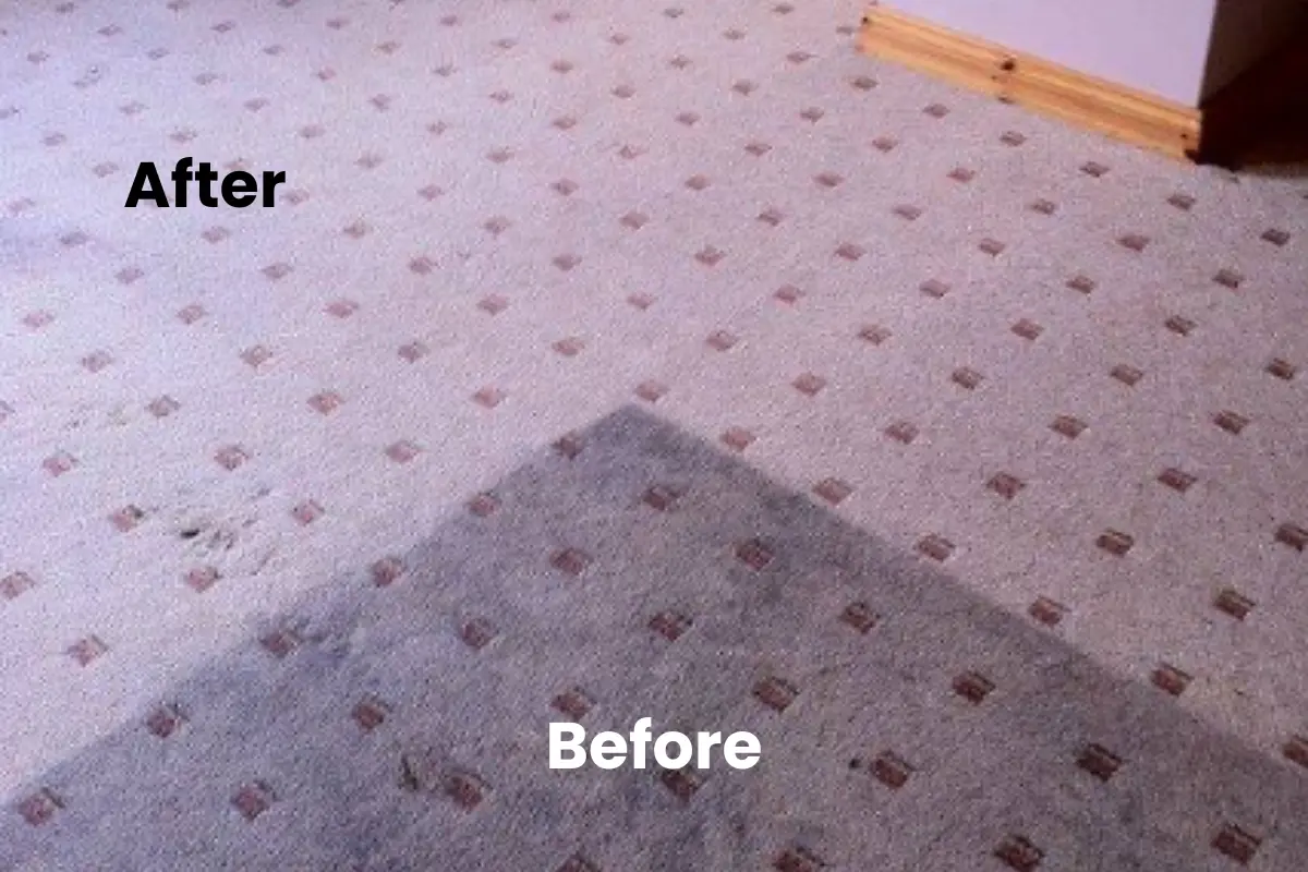 Philly Carpet Cleaning