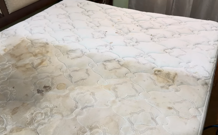 mattress cleaning philly