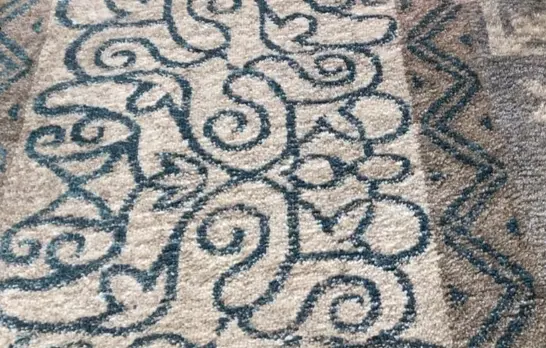Dog Diarrhea cleaned out professionally from a carpet in Philadelphia , PA