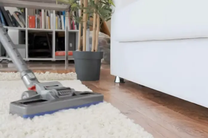 to get rid of carpet beetles vacuum regularly